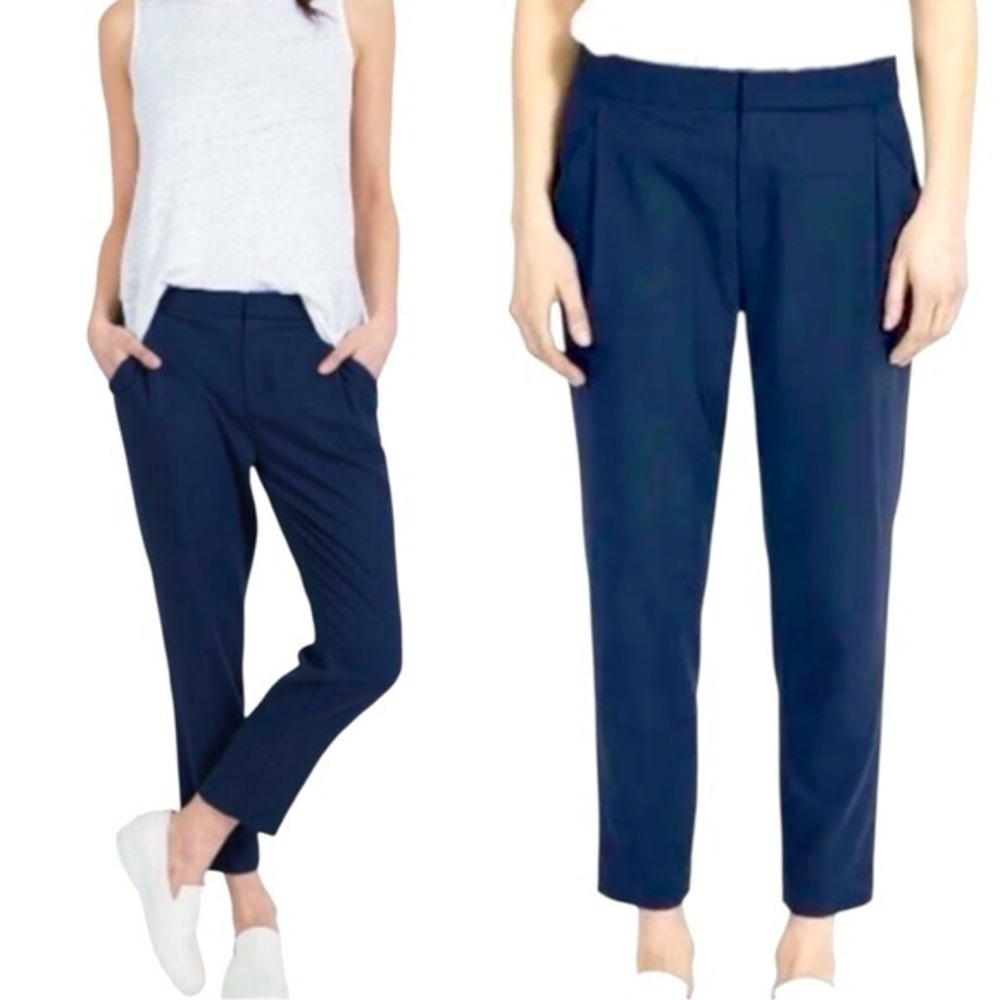 Everlane 100% Wool The Slouchy Trouser Pants